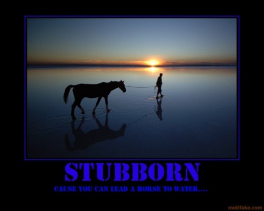 stubborn-horse-water-demotivational-poster-1214199328