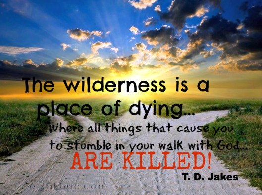the wilderness is a place of dying